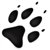 Wolf Track Image
